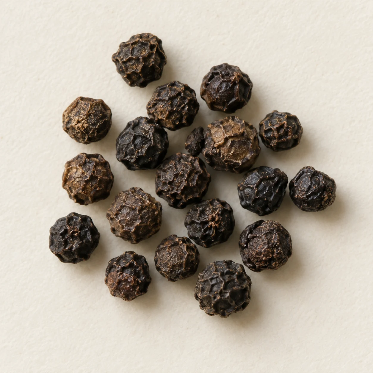BLACK PEPPER / AIによる参考標本画像